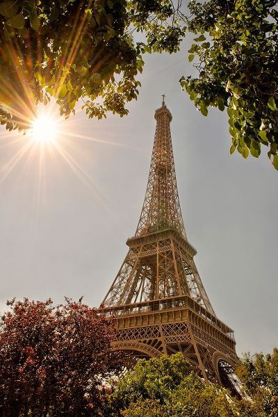 Eiffel Tower framed by trees and sunburst in Paris-France